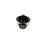 AISIN Engine Coolant Thermostat Assembly THT-013 for 1991-2004 Toyota 2.7L 2.4L (4Runner, Previa, T100, Tacoma)