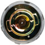 Four Seasons New Reverse Rotation Thermal Standard Duty Fan Clutch for 1981-1995 American Motors/Jeep 2.5L 4.2L (Eagle, Cherokee, CJ5, CJ7)