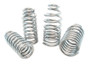 Belltech Muscle Car Spring Kits for Buick B-Body.