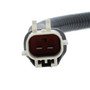 GPD Coolant Temp Sensor 1814586 for 1996-2014 Advance Mixer/Blue Bird/Crane Carrier 12.7L 11.1L (Advance Mixer, Glider, M, S)