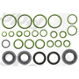 GPD System Service Kit 9411651 for 1994-1996 Buick/Chevrolet 5.7L 4.3L (Roadmaster, Caprice, Commercial Chassis, Impala)