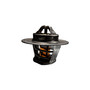 Vernet Engine Coolant Thermostat TH5962.71 for 1973-2009 Austin/Buick/Cadillac 1.8L 5.7L (Marina, Apollo, Century, Commercial Chassis)