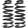Coil Spring Set 81001 - angled view