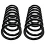 Coil Spring Set 81119 - angled view