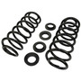 Coil Spring Set 81479 - angled view