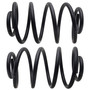 Coil Spring Set 3227 - angled view