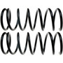 Front Coil Spring Set 81032 - angled view