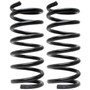Coil Spring Set 80661 - angled view
