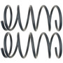 Front Coil Spring Set 81242 - angled view
