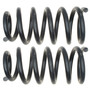 Coil Spring Set 81095 - angled view