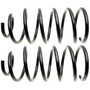 Coil Spring Set 81045 - angled view