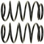Front Coil Spring Set 81410 - angled view
