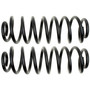 Coil Spring Set 81051 - angled view