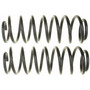 Coil Spring Set 81053 - angled view