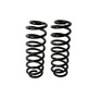 Coil Spring Set 81779 - angled view