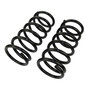 Coil Spring Set 81589 - angled view