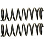 Coil Spring Set 81161 - angled view