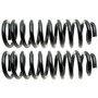 Front Coil Spring Set 81110 - angled view