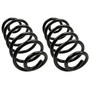 Coil Spring Set 81691 - angled view