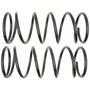 Coil Spring Set 81113 - angled view