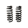 Coil Spring Set 81785 - angled view