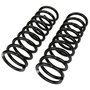 Coil Spring Set 81599 - angled view