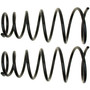 Coil Spring Set 81421 - angled view