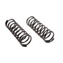 Coil Spring Set 80135 - angled view