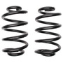 Coil Spring Set 6101 - angled view