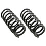 Coil Spring Set 81649 - angled view