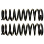 Front Coil Spring Set 81362 - angled view
