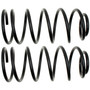 Coil Spring Set CC81035 - angled view
