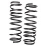 Coil Spring Set CC695 - angled view