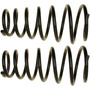 Coil Spring Set 81429 - angled view