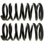 Coil Spring Set CC81067 - angled view