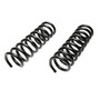 Front Coil Spring Set 8600 - angled view