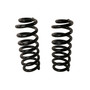 Coil Spring Set 81769 - angled view