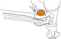 Alignment Cam Bolt Kit MS250174 - diagram