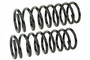 Coil Spring Set SMS30031 - front view