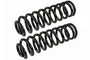 Coil Spring Set SMS60116