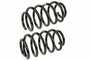 Coil Spring Set SMS250149 - front view
