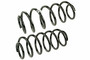 Coil Spring Set SMS250152 - front view