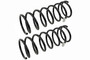 Coil Spring Set SMS80442V