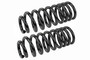 Coil Spring Set SMS80551V - front view