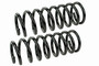 Coil Spring Set SMS80645 - front view