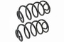 Coil Spring Set SMS5391 - front view
