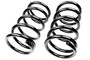 Coil Spring Set SMS81139 - front view