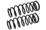 Coil Spring Set SMS80705 - front view