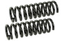 Coil Spring Set SMS81280 - front view