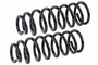 Coil Spring Set SMS86053 - front view